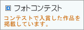 フォトコンテスト